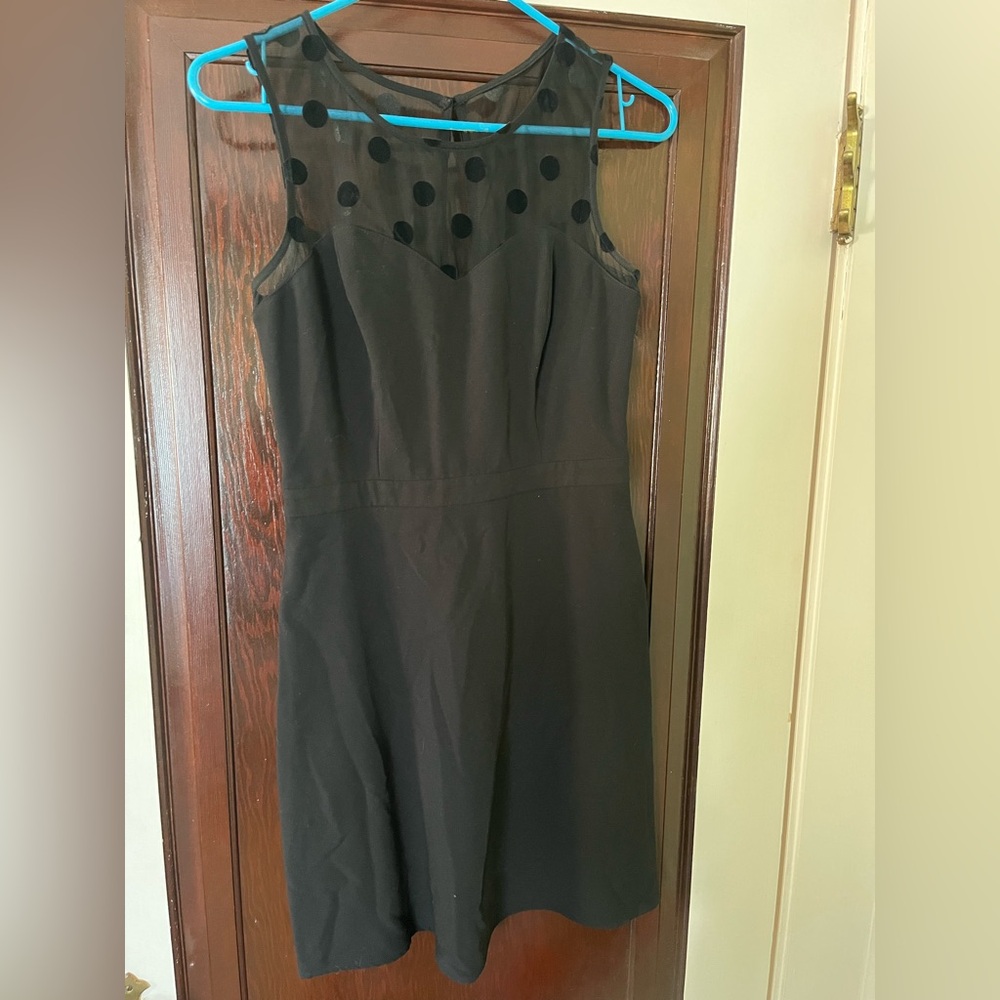 LC Lauren Conrad Black Dress with Polka Dot Mesh
